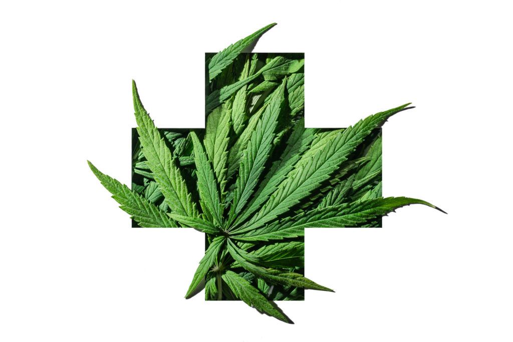 A graphic of cannabis leaves emerging from a green 'red cross' style cross.