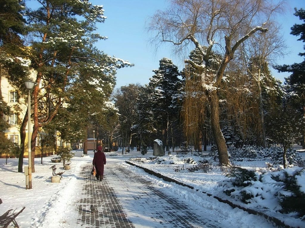 woman walking on a snowy path